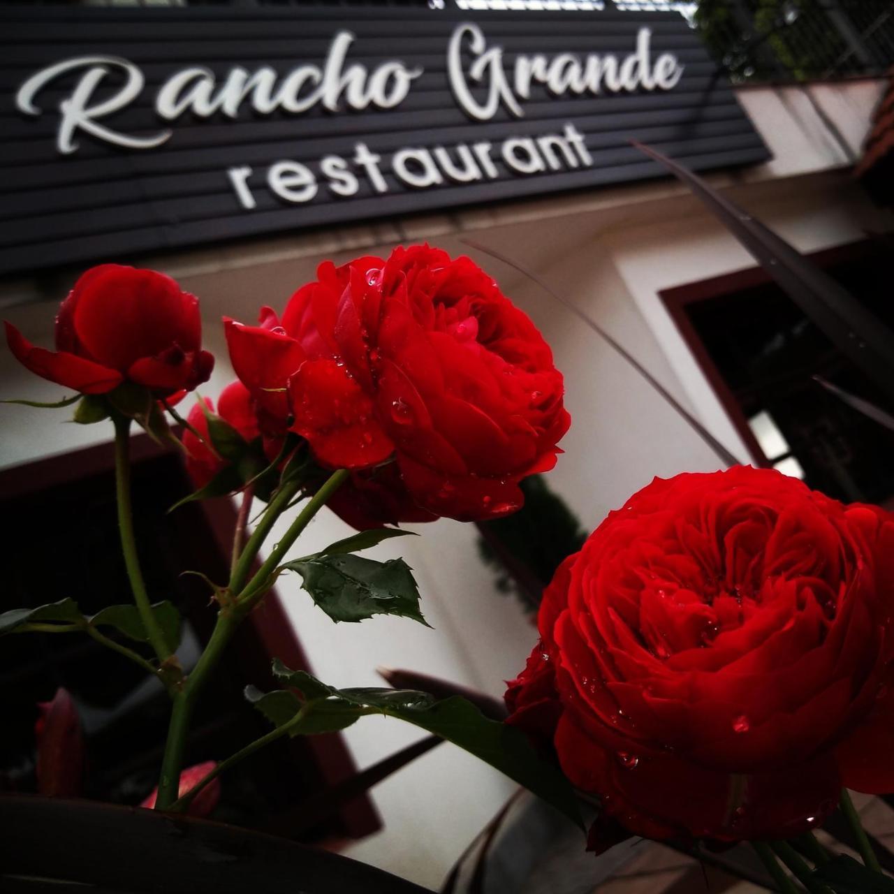 Rancho Grande Hotel ビジャ・ヘネラル・ベルグラーノ エクステリア 写真